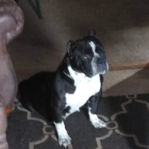 Meet your Posher, Doug - Picture 1 of 1